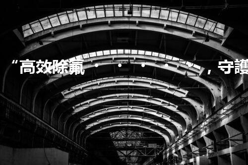 “高效除氟，守護(hù)碧水藍(lán)天——廢水中氟離子處理新篇章”